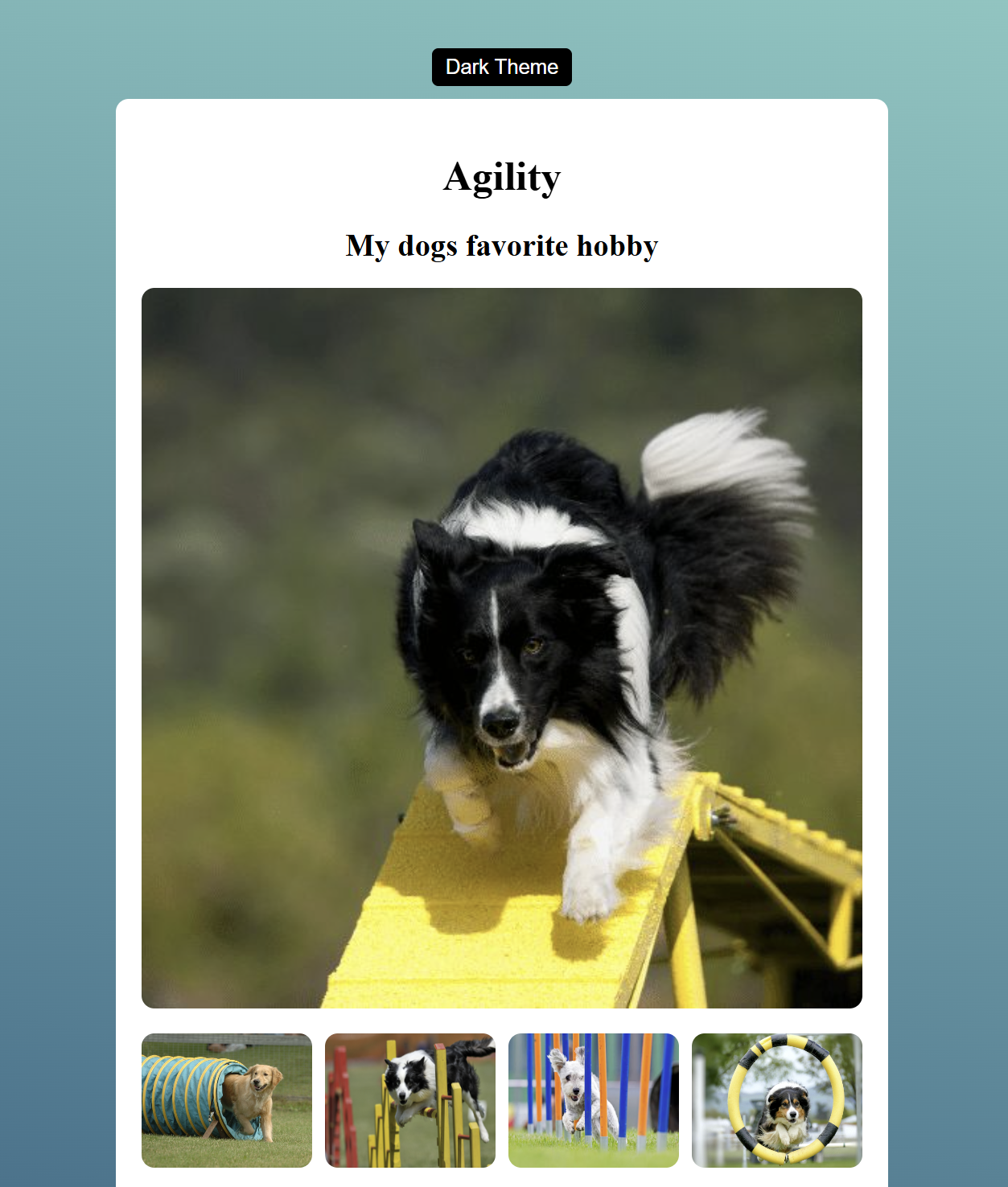 Dog agility app